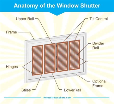 28 Types Of Window Shutter Styles Designs And Shapes