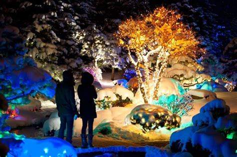 8 Botanical Garden Christmas Lights To Consider For Decorating 8 Botanical Garden Christmas Lights To Consider For Decorating
