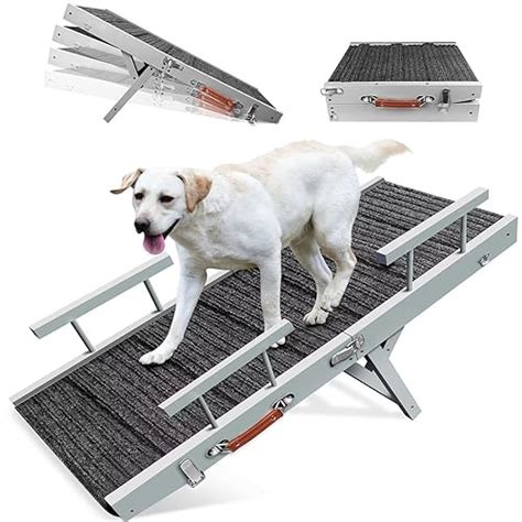 Chasing Tails Dog Ramp 2024 Vet Ranch We Love Pets Chasing Tails Dog Ramp 2024 Vet Ranch We Love Pets