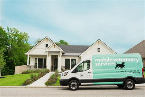 5 Tips Chasing Tails Mobile Vet