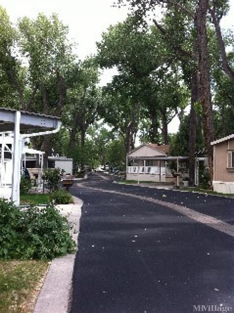 5 Tips Cottonwood
