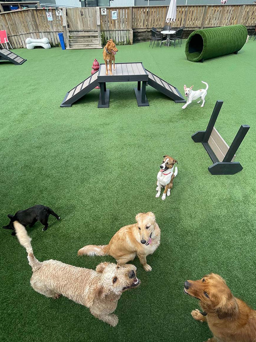 5 Daycare Tips Mobile AL