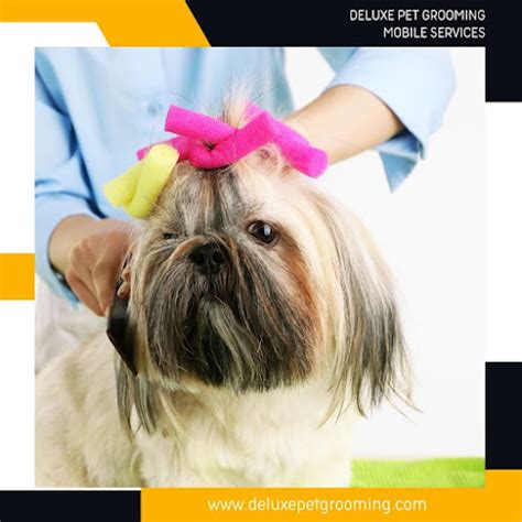 5 Deluxe Grooming Reviews