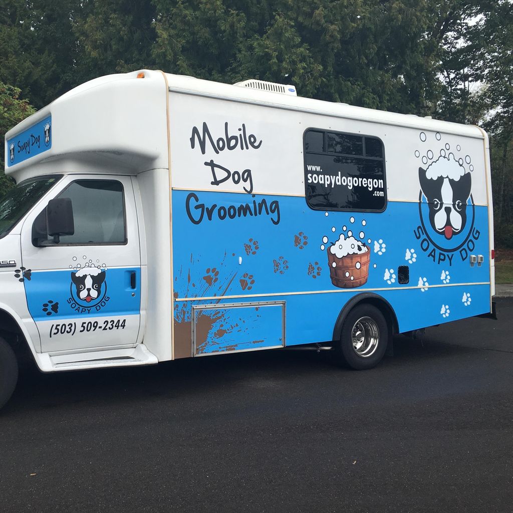 Dog Grooming Infographic Dog Grooming Mobile Pet Grooming Dog Dog Grooming Infographic Dog Grooming Mobile Pet Grooming Dog