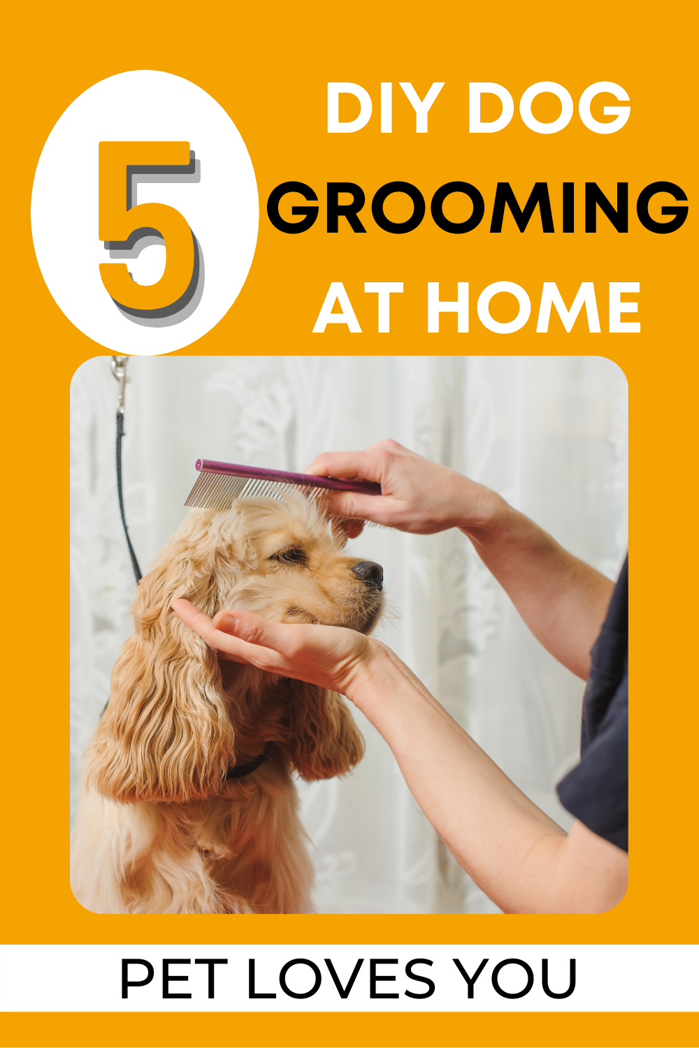 Dog Grooming Tips At Home All Breed Dog Grooming Dog Grooming Tips Dog Grooming Tips At Home All Breed Dog Grooming Dog Grooming Tips