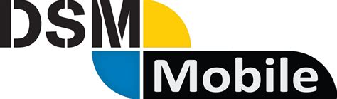 DSM Mobile App Review