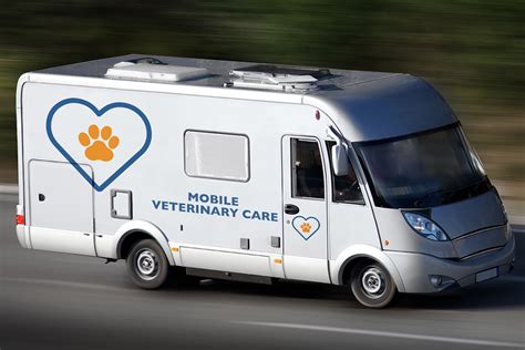 5 Emergency Vet Tips
