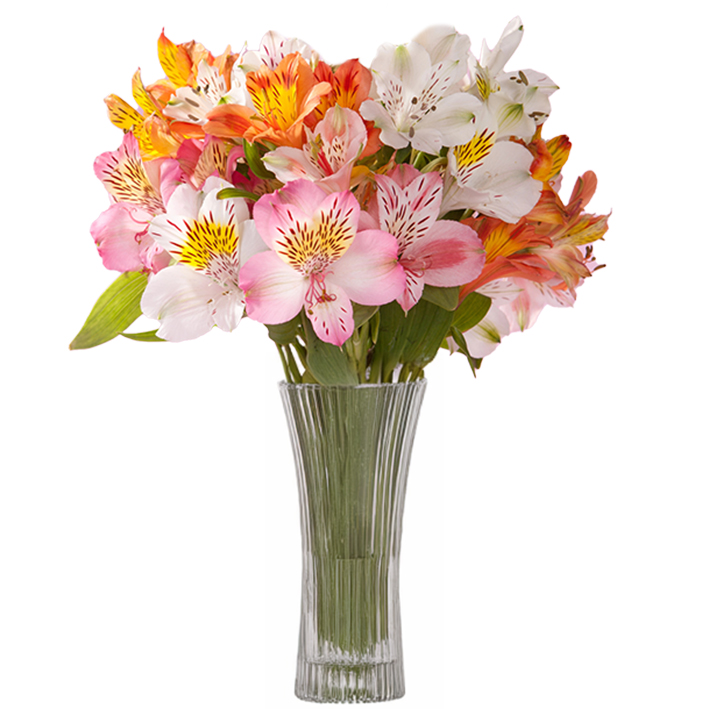 Flower Delivery In Trinidad And Tobago Best Flower Site Flower Delivery In Trinidad And Tobago Best Flower Site