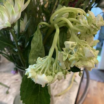 5 Ways Flowerama