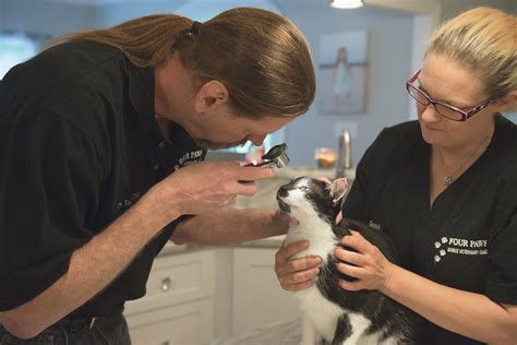 Four Paws Mobile Vet 2017 3 Paws Mobile Veterinary Clinic Paws Four Paws Mobile Vet 2017 3 Paws Mobile Veterinary Clinic Paws