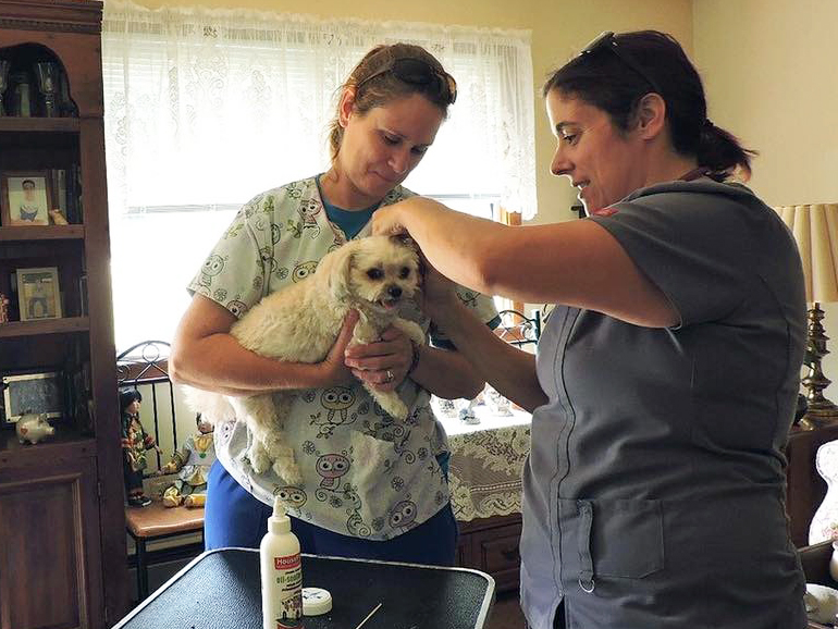 Housepaws Mobile Vet Housepaws Mobile Vet