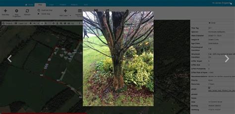 Mobile App For Tree Surveys Tree Survey App Gis Solutions Mobile App For Tree Surveys Tree Survey App Gis Solutions