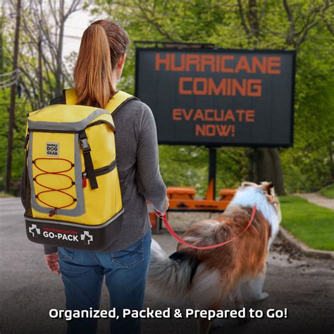 Mobile Dog Gear Essentials