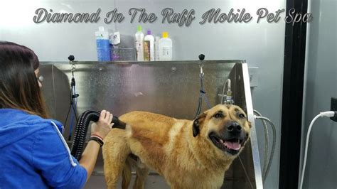 Mobile Dog Grooming Edmond OK Services