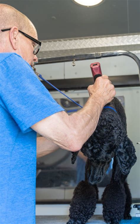 Mobile Dog Grooming Franchise