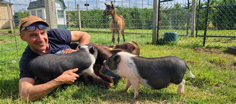 Mobile Farriers Near Me