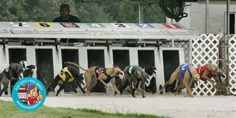 Mobile Greyhound Park Alabama Play Slots 4 Real Money Mobile Greyhound Park Alabama Play Slots 4 Real Money