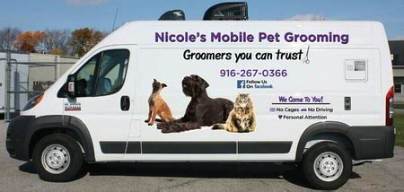 5 Mobile Groomers