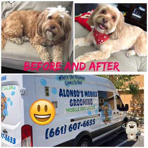 Mobile Grooming Santa Clarita Services