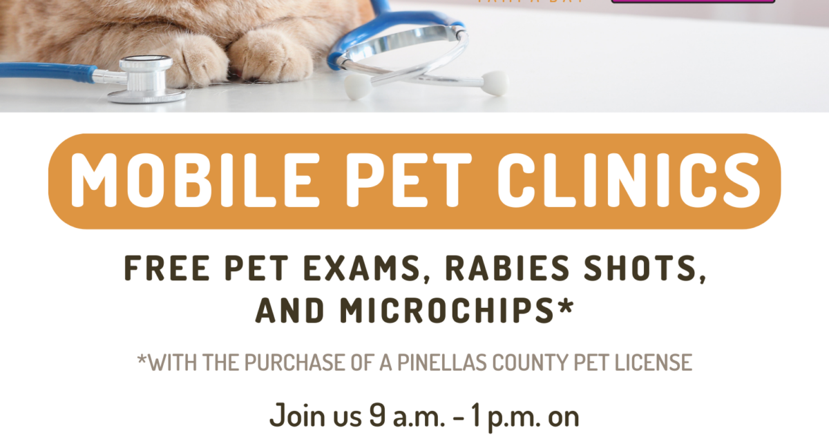 5 Mobile SPCA Photo Tips