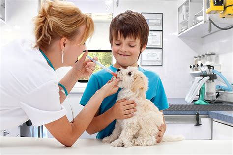 Mobile Vet Conroe Tx House Call Vet Homeridge Mobile Veterinary Mobile Vet Conroe Tx House Call Vet Homeridge Mobile Veterinary
