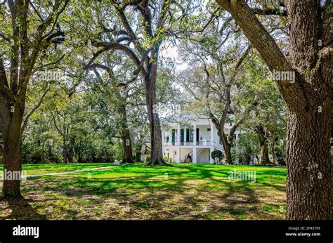 5 Tips Oakleigh House Mobile