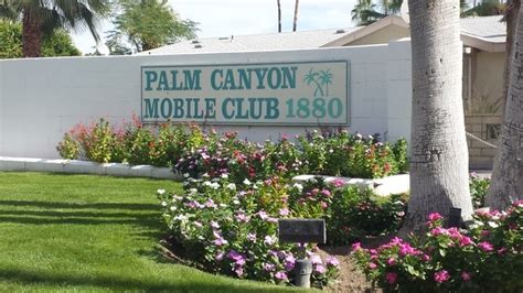 5 Palm Canyon Tips