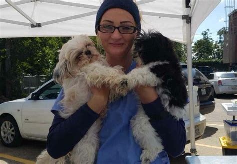 5 Ways Penny Paws Helps