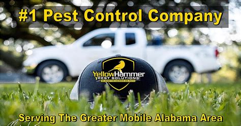 Pest Control Mobile AL Solutions Pest Control Mobile AL Solutions