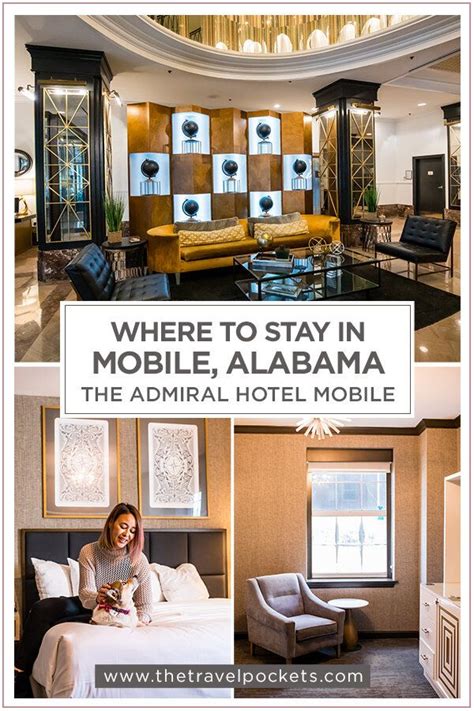 5 Pet Friendly Hotels