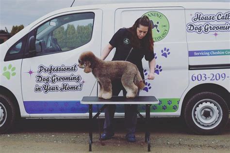 Pets At Home Dog Groomers Near Me At Cody Roosa Blog Pets At Home Dog Groomers Near Me At Cody Roosa Blog