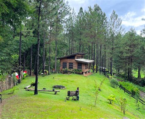 Pine Ridge Bukidnon Camping In Malaybalay Capital Bukidnon Pine Ridge Bukidnon Camping In Malaybalay Capital Bukidnon