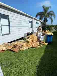 Smart Updates For Your Manufactured Home Underbelly Mobile Home Living Smart Updates For Your Manufactured Home Underbelly Mobile Home Living