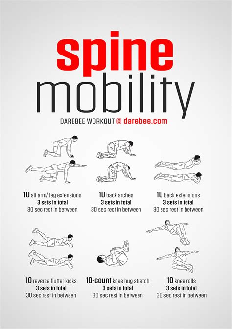 Spine Mobility Workout Spine Mobility Workout
