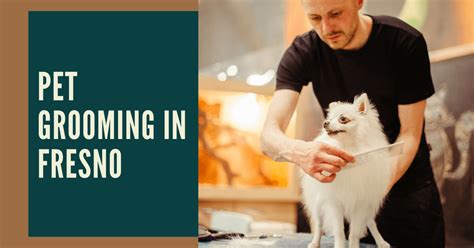 The 10 Best Pet Grooming In Fresno California Bestinfresno Com The 10 Best Pet Grooming In Fresno California Bestinfresno Com