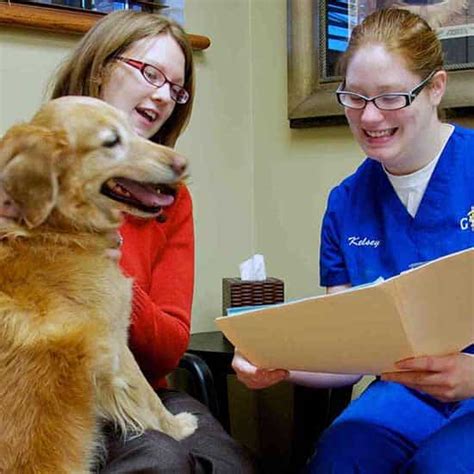 Veterinary Services In Cincinnati Oh Grady Veterinary Hospital Veterinary Services In Cincinnati Oh Grady Veterinary Hospital